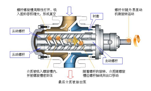 螺杆式真空泵的抽气原理图